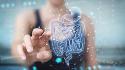 Der Verdauungstrakt ist von Darmbakterien besiedelt