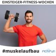 Einsteiger-Fitness-Wochen_MUSKELAUFBAU_fitnfun-Kulmbach